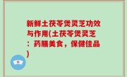 新鲜土茯苓煲灵芝功效与作用(土茯苓煲灵芝：药膳美食，保健佳品)