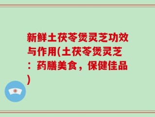 新鲜土茯苓煲灵芝功效与作用(土茯苓煲灵芝：药膳美食，保健佳品)