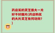 药店买的灵芝很大一片好不好图片(药店购买的大片灵芝有何功效？)