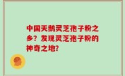 中国天鹅灵芝孢子粉之乡？发现灵芝孢子粉的神奇之地？