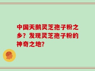 中国天鹅灵芝孢子粉之乡？发现灵芝孢子粉的神奇之地？