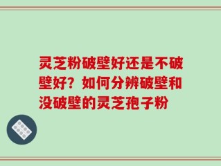 灵芝粉破壁好还是不破壁好？如何分辨破壁和没破壁的灵芝孢子粉