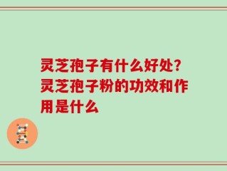 灵芝孢子有什么好处？灵芝孢子粉的功效和作用是什么
