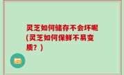 灵芝如何储存不会坏呢(灵芝如何保鲜不易变质？)