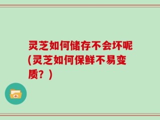 灵芝如何储存不会坏呢(灵芝如何保鲜不易变质？)