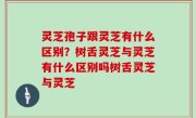 灵芝孢子跟灵芝有什么区别？树舌灵芝与灵芝有什么区别吗树舌灵芝与灵芝