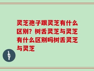灵芝孢子跟灵芝有什么区别？树舌灵芝与灵芝有什么区别吗树舌灵芝与灵芝