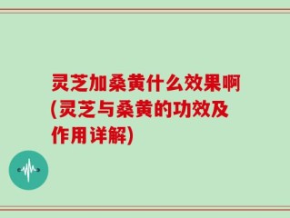 灵芝加桑黄什么效果啊(灵芝与桑黄的功效及作用详解)