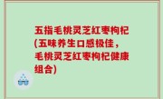 五指毛桃灵芝红枣枸杞(五味养生口感极佳，毛桃灵芝红枣枸杞健康组合)