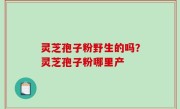 灵芝孢子粉野生的吗？灵芝孢子粉哪里产