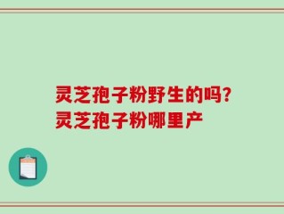 灵芝孢子粉野生的吗？灵芝孢子粉哪里产