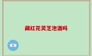藏红花灵芝泡酒吗