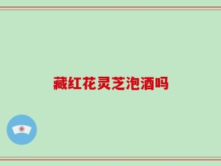 藏红花灵芝泡酒吗
