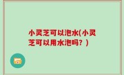 小灵芝可以泡水(小灵芝可以用水泡吗？)