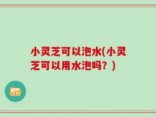 小灵芝可以泡水(小灵芝可以用水泡吗？)