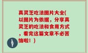 真灵芝吃法图片大全(以图片为依据，分享真灵芝的吃法和食用方式，看完这篇文章不必苦恼啦！)