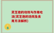 灵芝孢的功效与作用吃法(灵芝孢的功效及食用方法解析)