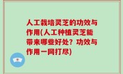 人工栽培灵芝的功效与作用(人工种植灵芝能带来哪些好处？功效与作用一网打尽)