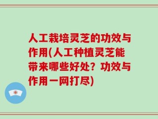 人工栽培灵芝的功效与作用(人工种植灵芝能带来哪些好处？功效与作用一网打尽)