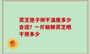 灵芝孢子烘干温度多少合适？一斤新鲜灵芝晒干得多少