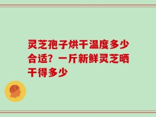 灵芝孢子烘干温度多少合适？一斤新鲜灵芝晒干得多少