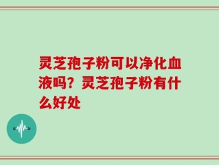 灵芝孢子粉可以净化血液吗？灵芝孢子粉有什么好处