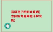 苔藓孢子粉阳光直晒(太阳能为苔藓孢子粉充能)