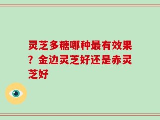 灵芝多糖哪种最有效果？金边灵芝好还是赤灵芝好