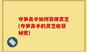 夺笋高手如何获得灵芝(夺笋高手的灵芝收获秘密)