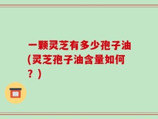 一颗灵芝有多少孢子油(灵芝孢子油含量如何？)