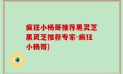 疯狂小杨哥推荐黑灵芝黑灵芝推荐专家-疯狂小杨哥)