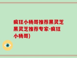 疯狂小杨哥推荐黑灵芝黑灵芝推荐专家-疯狂小杨哥)