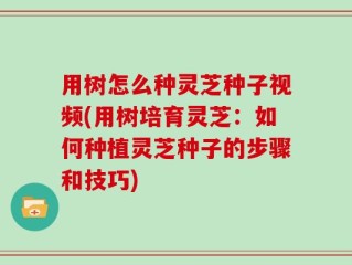 用树怎么种灵芝种子视频(用树培育灵芝：如何种植灵芝种子的步骤和技巧)