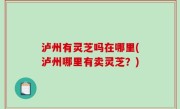 泸州有灵芝吗在哪里(泸州哪里有卖灵芝？)