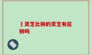 矴灵芝比别的灵芝有区别吗