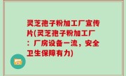 灵芝孢子粉加工厂宣传片(灵芝孢子粉加工厂：厂房设备一流，安全卫生保障有力)