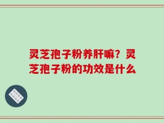 灵芝孢子粉养肝嘛？灵芝孢子粉的功效是什么