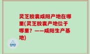灵芝胶囊咸阳产地在哪里(灵芝胶囊产地位于哪里？——咸阳生产基地)