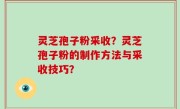 灵芝孢子粉采收？灵芝孢子粉的制作方法与采收技巧？