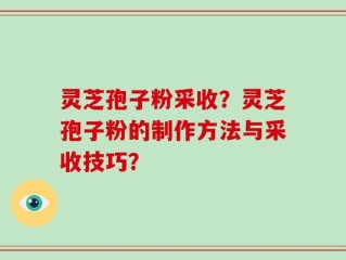 灵芝孢子粉采收？灵芝孢子粉的制作方法与采收技巧？