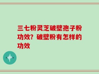 三七粉灵芝破壁孢子粉功效？破壁粉有怎样的功效