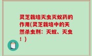 灵芝栽培灭虫灭蚁药的作用(灵芝栽培中的天然杀虫剂：灭蚁、灭虫！)