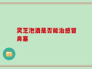 灵芝泡酒是否能治感冒鼻塞
