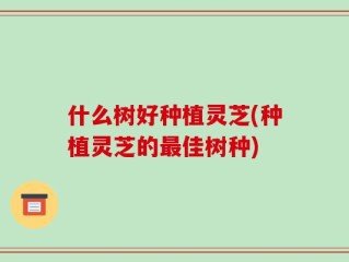 什么树好种植灵芝(种植灵芝的最佳树种)