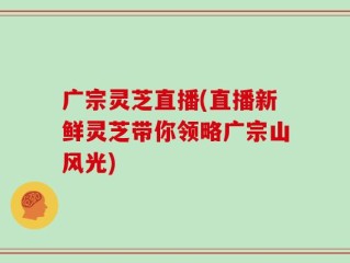 广宗灵芝直播(直播新鲜灵芝带你领略广宗山风光)