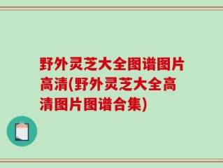 野外灵芝大全图谱图片高清(野外灵芝大全高清图片图谱合集)