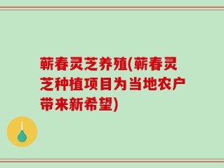 蕲春灵芝养殖(蕲春灵芝种植项目为当地农户带来新希望)