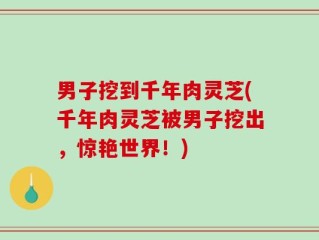 男子挖到千年肉灵芝(千年肉灵芝被男子挖出，惊艳世界！)