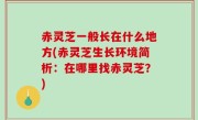 赤灵芝一般长在什么地方(赤灵芝生长环境简析：在哪里找赤灵芝？)