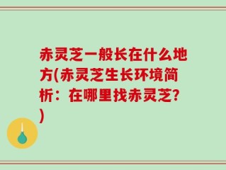 赤灵芝一般长在什么地方(赤灵芝生长环境简析：在哪里找赤灵芝？)